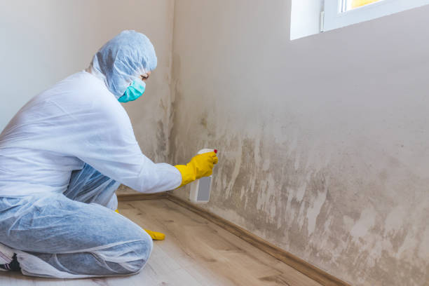Mold Remediation specialist working in Gainesville